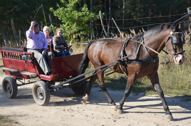 Sezon hubertusowy rozpoczęty (zdjęcia)