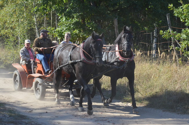 Sezon hubertusowy rozpoczęty (zdjęcia)