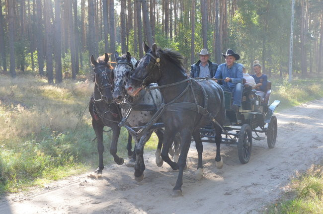 Sezon hubertusowy rozpoczęty (zdjęcia)