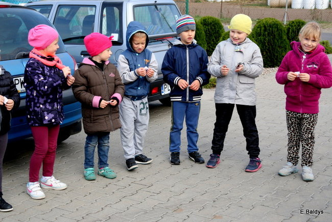 Zabawa z ziemniakami w tle (zdjęcia)