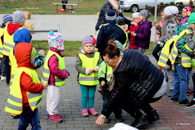 Zabawa z ziemniakami w tle (zdjęcia)