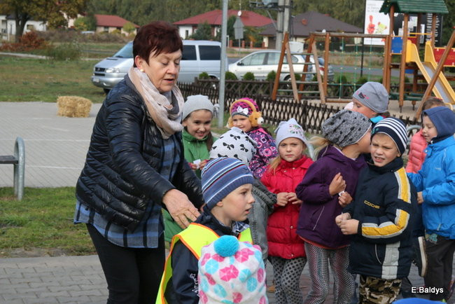 Zabawa z ziemniakami w tle (zdjęcia)