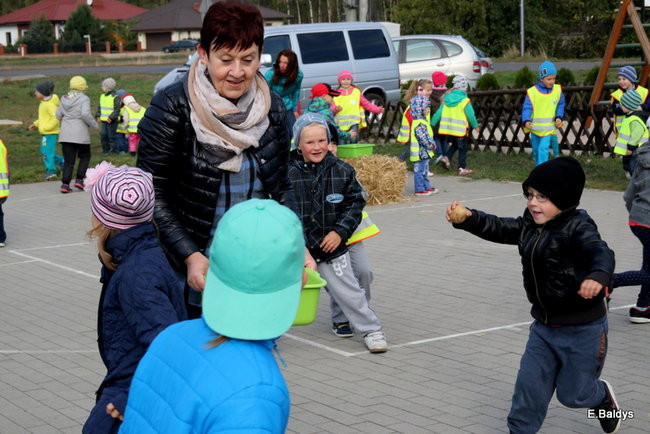 Zabawa z ziemniakami w tle (zdjęcia)