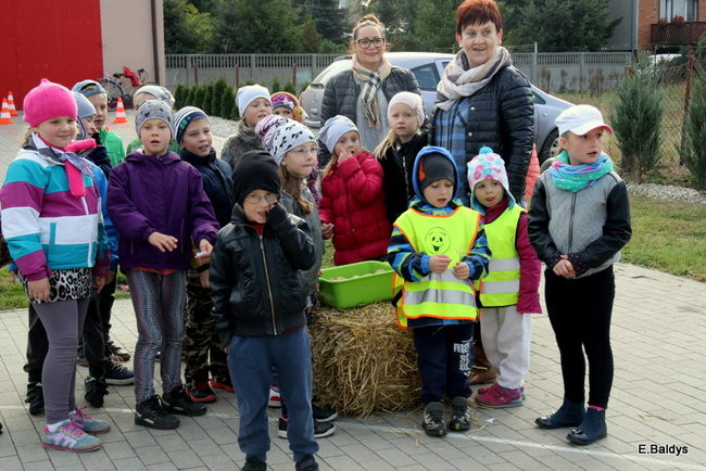 Zabawa z ziemniakami w tle (zdjęcia)