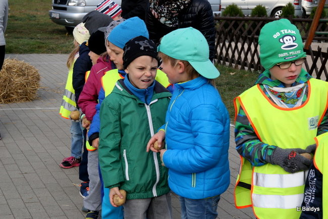 Zabawa z ziemniakami w tle (zdjęcia)