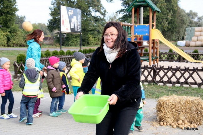 Zabawa z ziemniakami w tle (zdjęcia)