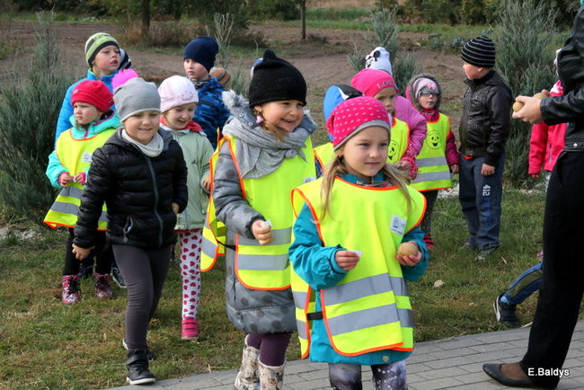Zabawa z ziemniakami w tle (zdjęcia)
