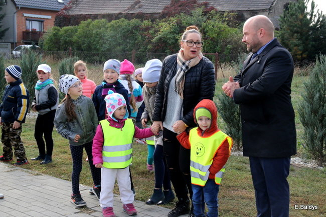 Zabawa z ziemniakami w tle (zdjęcia)