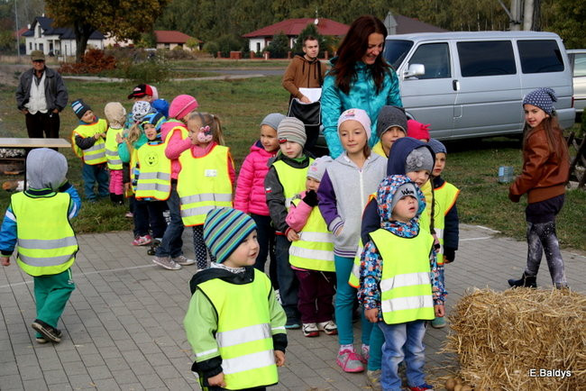Zabawa z ziemniakami w tle (zdjęcia)