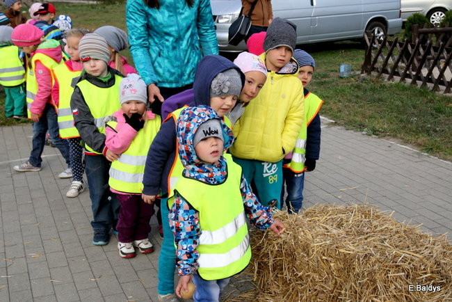 Zabawa z ziemniakami w tle (zdjęcia)