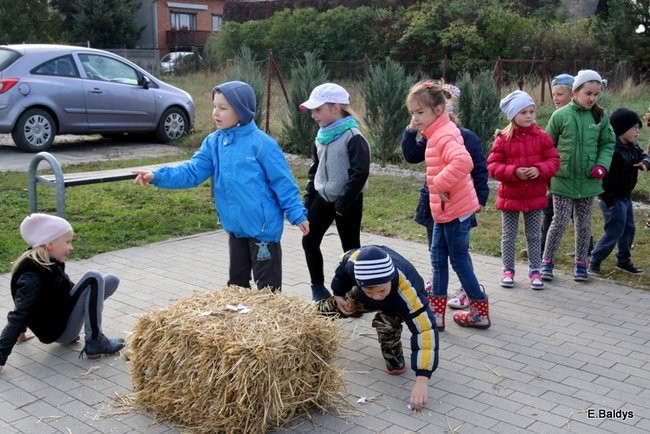 Zabawa z ziemniakami w tle (zdjęcia)