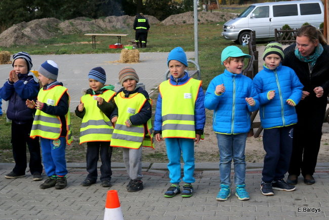 Zabawa z ziemniakami w tle (zdjęcia)