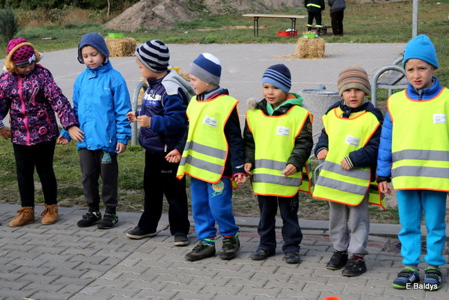 Zabawa z ziemniakami w tle (zdjęcia)