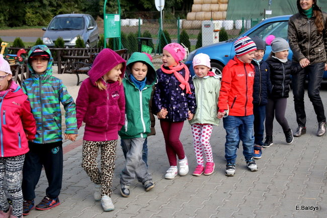 Zabawa z ziemniakami w tle (zdjęcia)