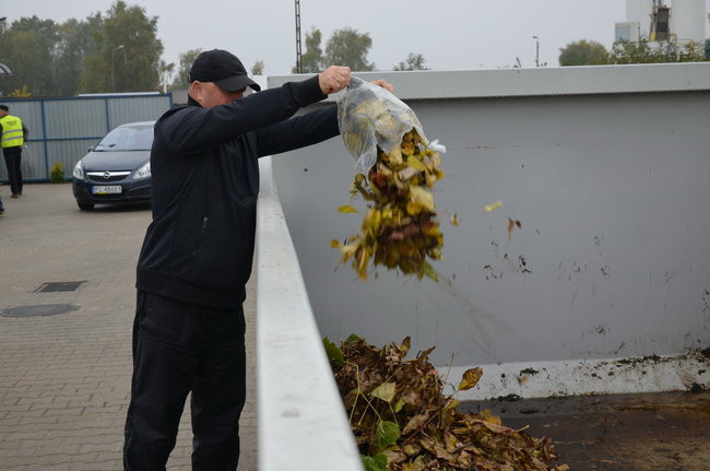 Wrzosy dla gości nowego PSZOK-a (zdjęcia)