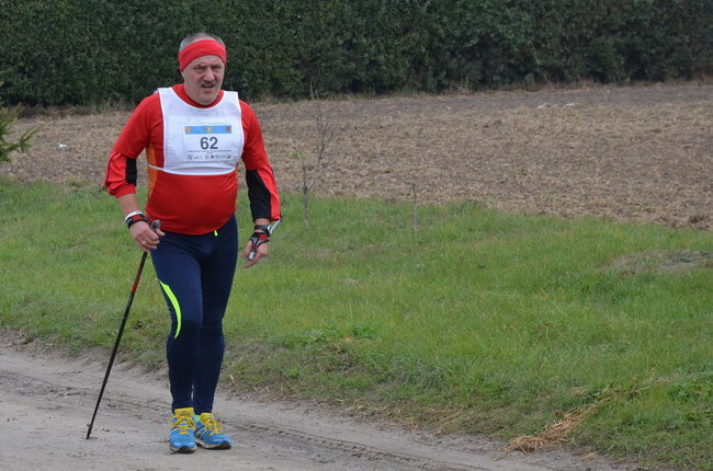 W jesiennej scenerii (zdjęcia)