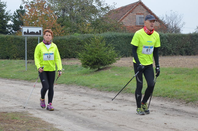 W jesiennej scenerii (zdjęcia)