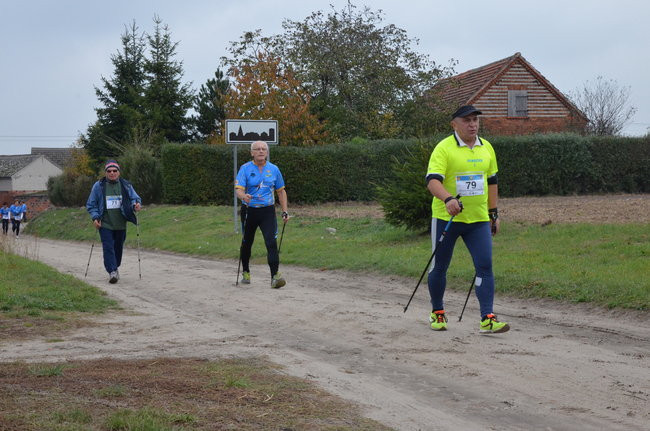 W jesiennej scenerii (zdjęcia)