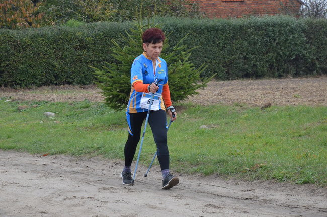 W jesiennej scenerii (zdjęcia)