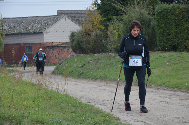 W jesiennej scenerii (zdjęcia)