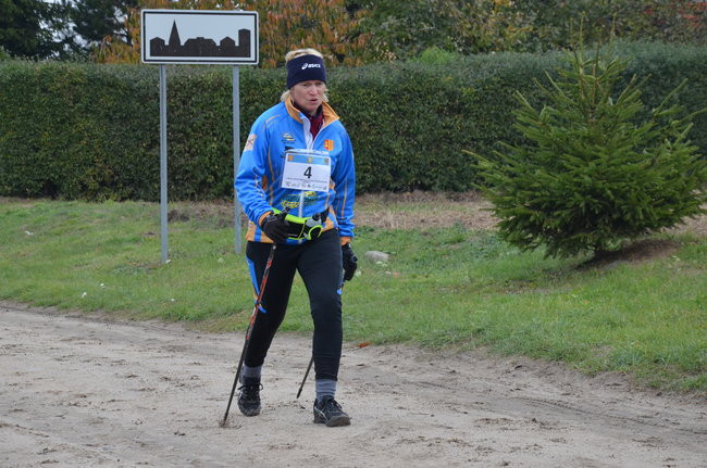 W jesiennej scenerii (zdjęcia)