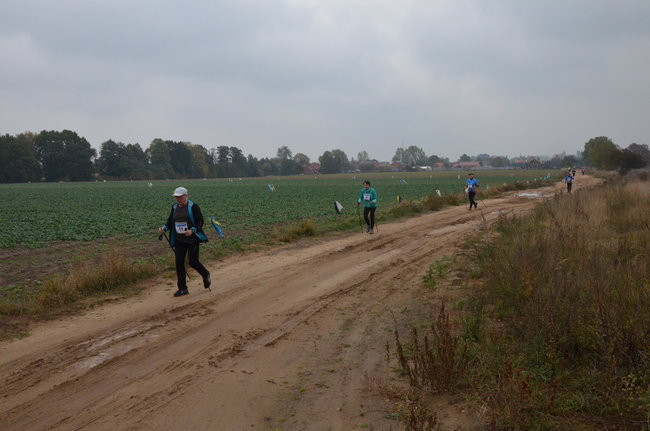 W jesiennej scenerii (zdjęcia)