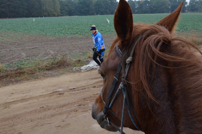 W jesiennej scenerii (zdjęcia)