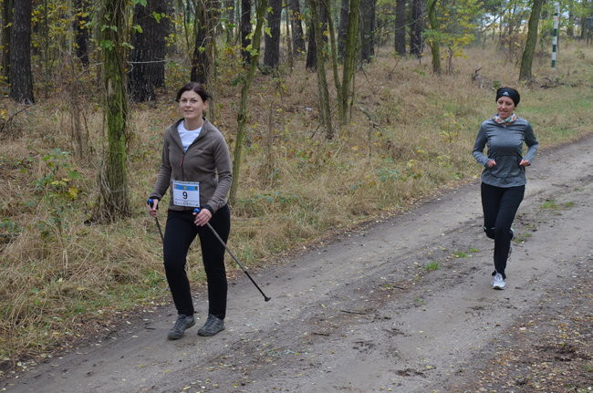 W jesiennej scenerii (zdjęcia)