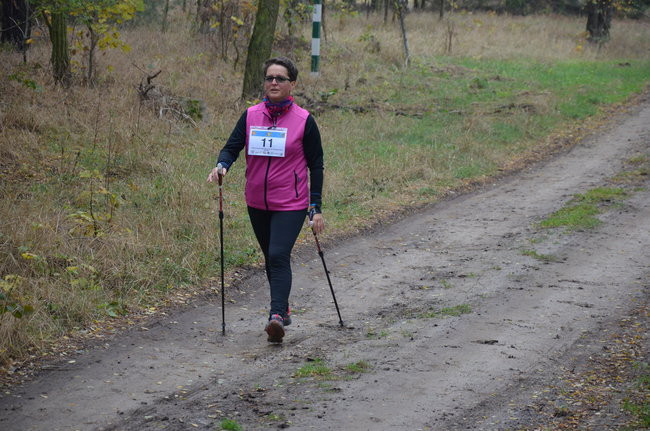 W jesiennej scenerii (zdjęcia)