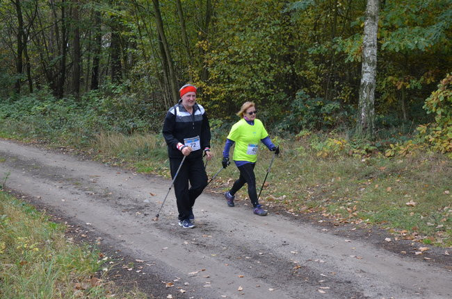 W jesiennej scenerii (zdjęcia)