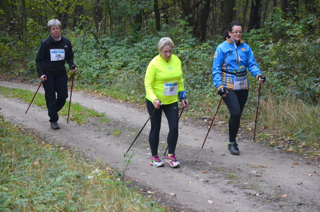W jesiennej scenerii (zdjęcia)