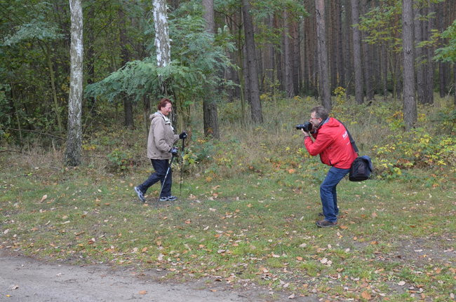 W jesiennej scenerii (zdjęcia)
