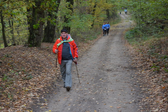 W jesiennej scenerii (zdjęcia)