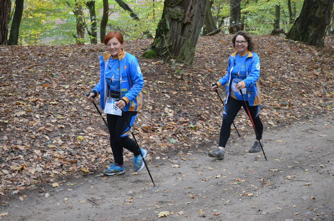 W jesiennej scenerii (zdjęcia)