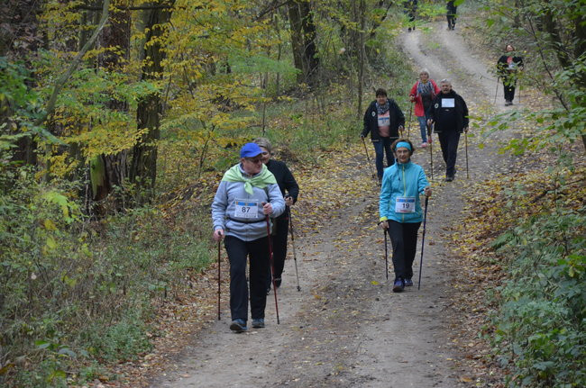 W jesiennej scenerii (zdjęcia)