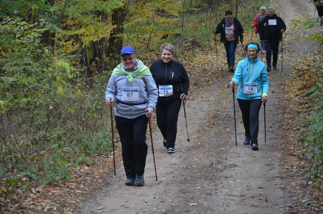W jesiennej scenerii (zdjęcia)