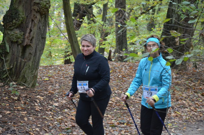 W jesiennej scenerii (zdjęcia)