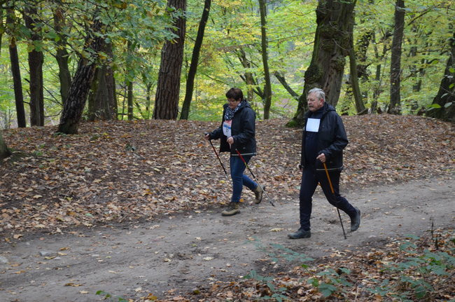 W jesiennej scenerii (zdjęcia)