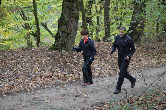 W jesiennej scenerii (zdjęcia)