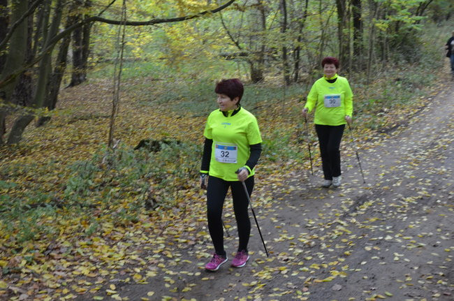 W jesiennej scenerii (zdjęcia)