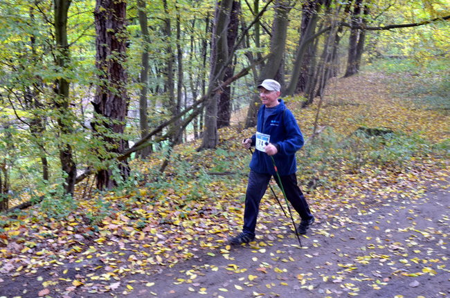 W jesiennej scenerii (zdjęcia)