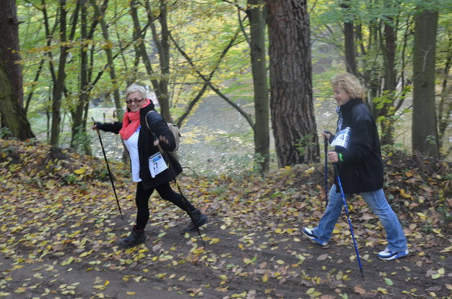 W jesiennej scenerii (zdjęcia)