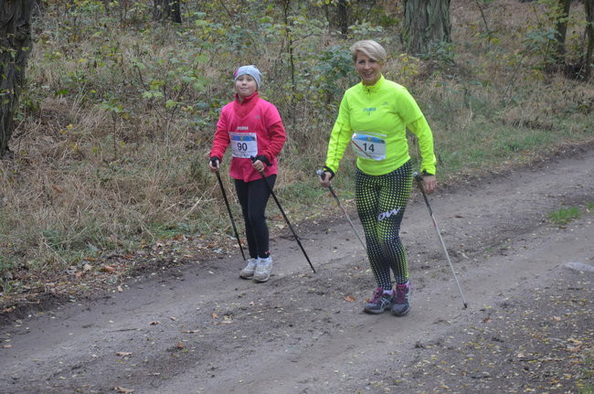 W jesiennej scenerii (zdjęcia)