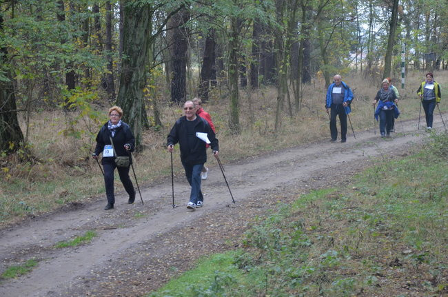 W jesiennej scenerii (zdjęcia)