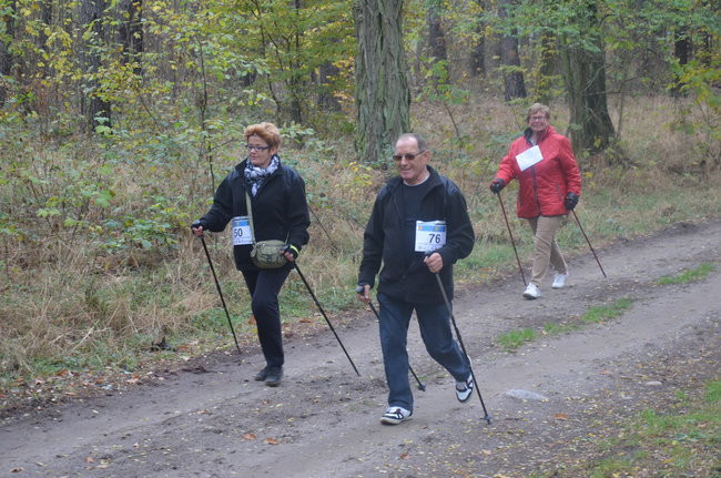 W jesiennej scenerii (zdjęcia)