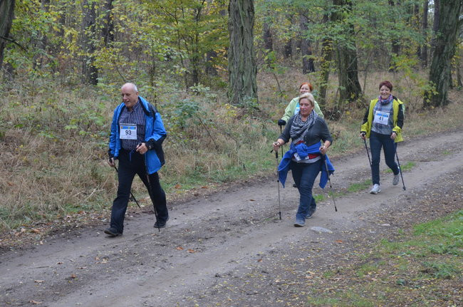 W jesiennej scenerii (zdjęcia)
