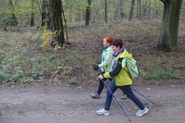 W jesiennej scenerii (zdjęcia)