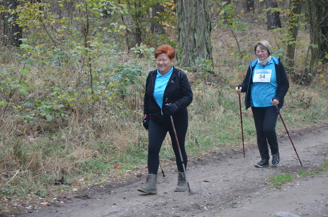 W jesiennej scenerii (zdjęcia)