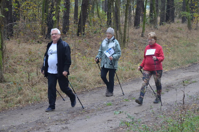 W jesiennej scenerii (zdjęcia)