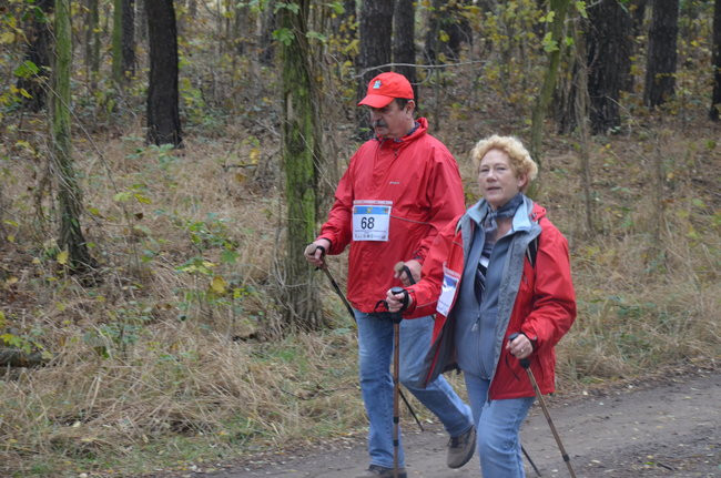 W jesiennej scenerii (zdjęcia)